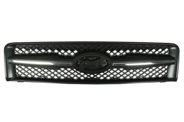 Grila radiator (6502073175990P BLIC) HYUNDAI