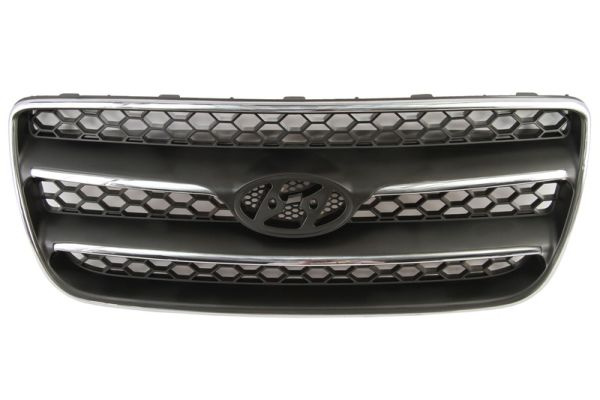 Grila radiator (6502073181990P BLIC) HYUNDAI