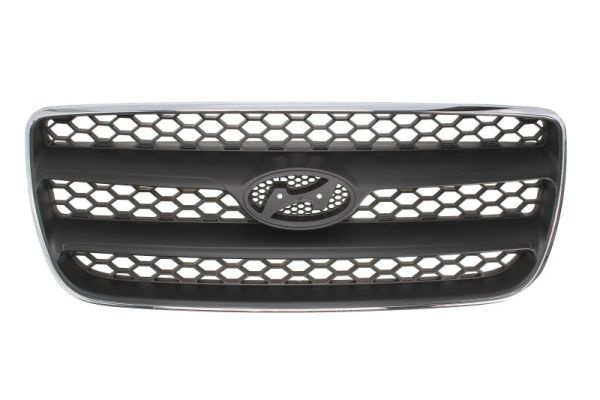 Grila radiator (6502073181994P BLIC) HYUNDAI