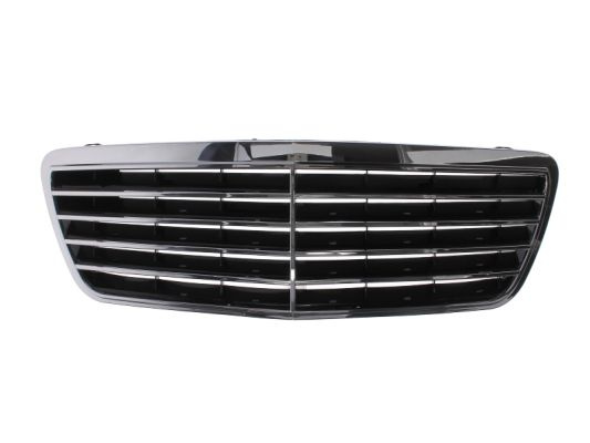 Grila radiator (6502073527994P BLIC) MERCEDES-BENZ