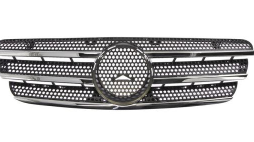 Grila radiator (6502073560990P BLIC) MERCEDES-BENZ