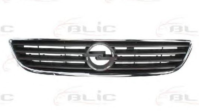 Grila radiator (6502075062991P BLIC) OPEL