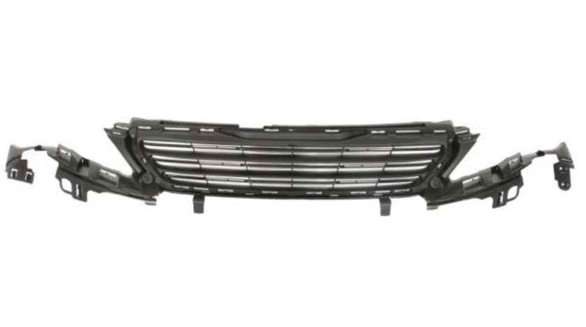 Grila radiator (6502075519992P BLIC) PEUGEOT