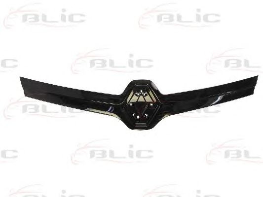 Grila radiator (6502076006990P BLIC) RENAULT