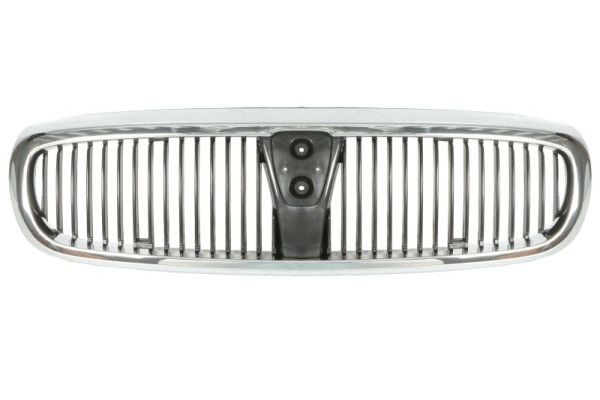 Grila radiator (6502076410990P BLIC) ROVER