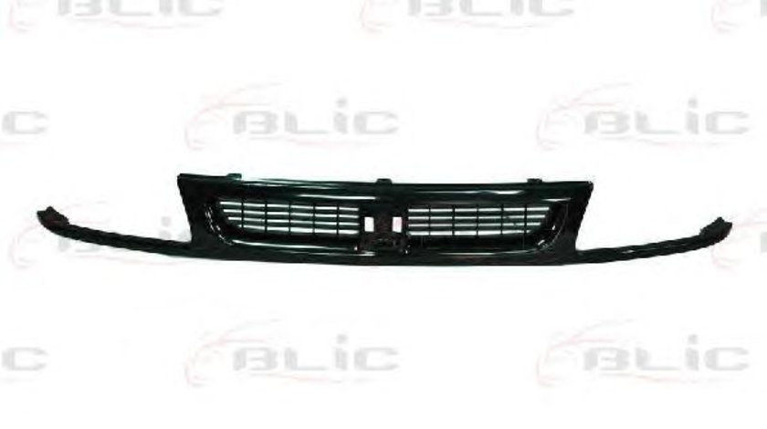 Grila radiator (6502076607990P BLIC) SEAT