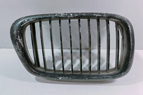 Grila radiator 81845329 BMW Seria 5 E39 [1995 - 2000]