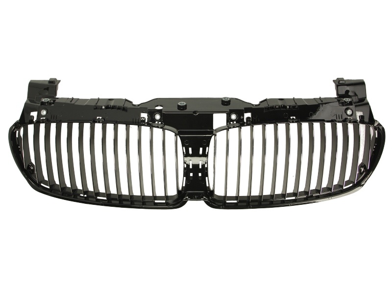 Grila Radiator Am Bmw Seria 7 E65/E66/E67 2005-2009 51137145738