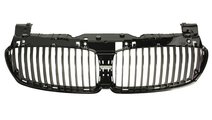 Grila Radiator Am Bmw Seria 7 E65/E66/E67 2005-200...