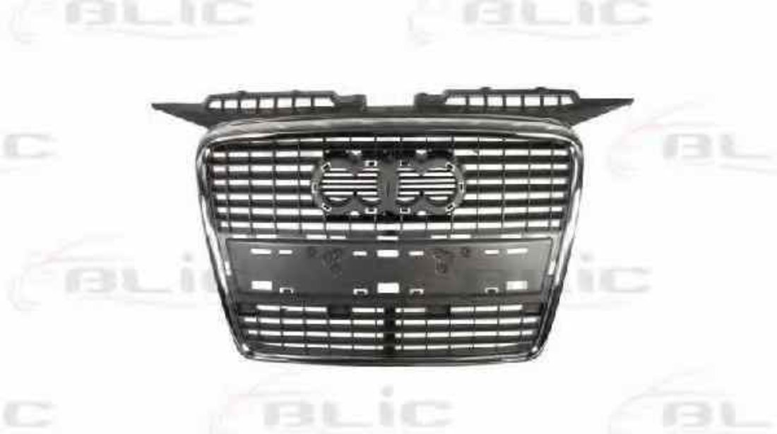 Grila radiator AUDI A3 8P1 BLIC 6502-07-0026993P