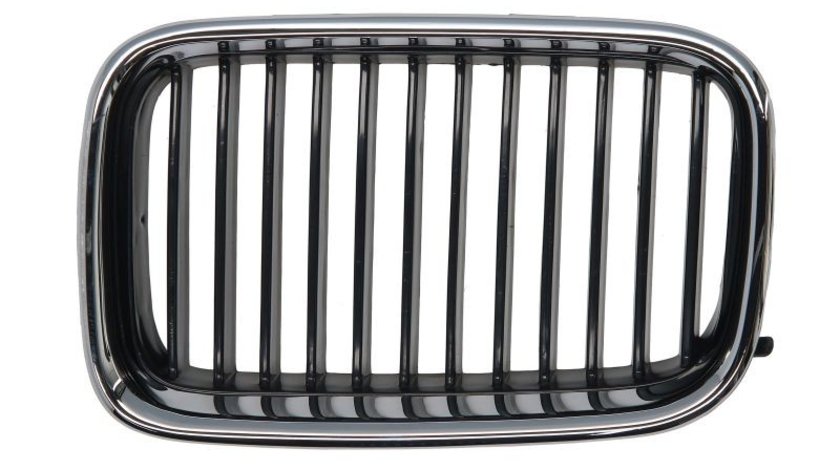 Grila radiator BMW 3 BLIC 6502-07-0060991P