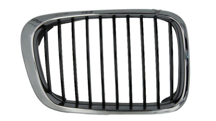 Grila radiator BMW 3 Coupe (E46) BLIC 6502-07-0061994P