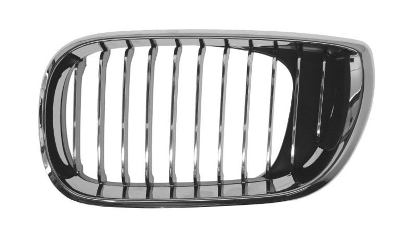 Grila radiator BMW 3 (E46) BLIC 6502-07-0061993AP