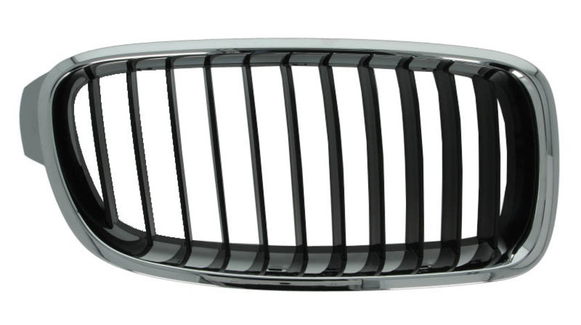 Grila radiator BMW 3 (F30, F80) BLIC 6502-07-0063992P