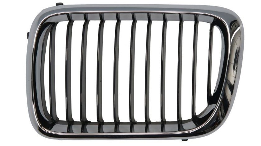 Grila radiator BMW 3 Touring (E36) BLIC 6502-07-0060997P