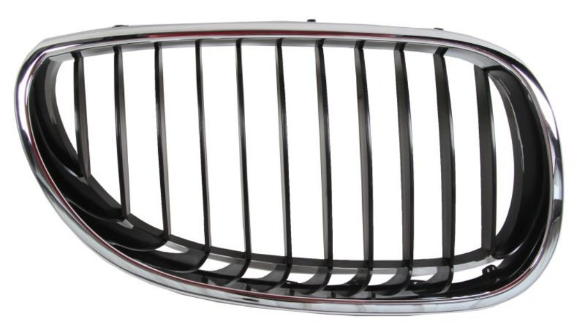 Grila radiator BMW 5 BLIC 6502-07-0066992P