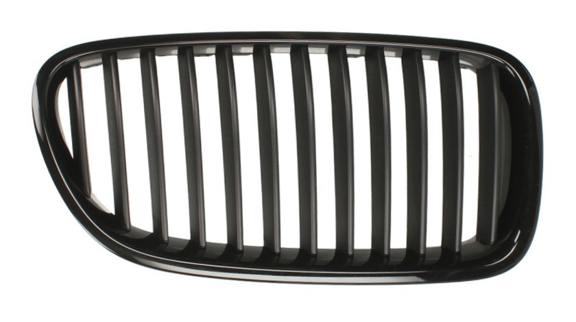 Grila radiator BMW 5 BLIC 6502-07-0067991P