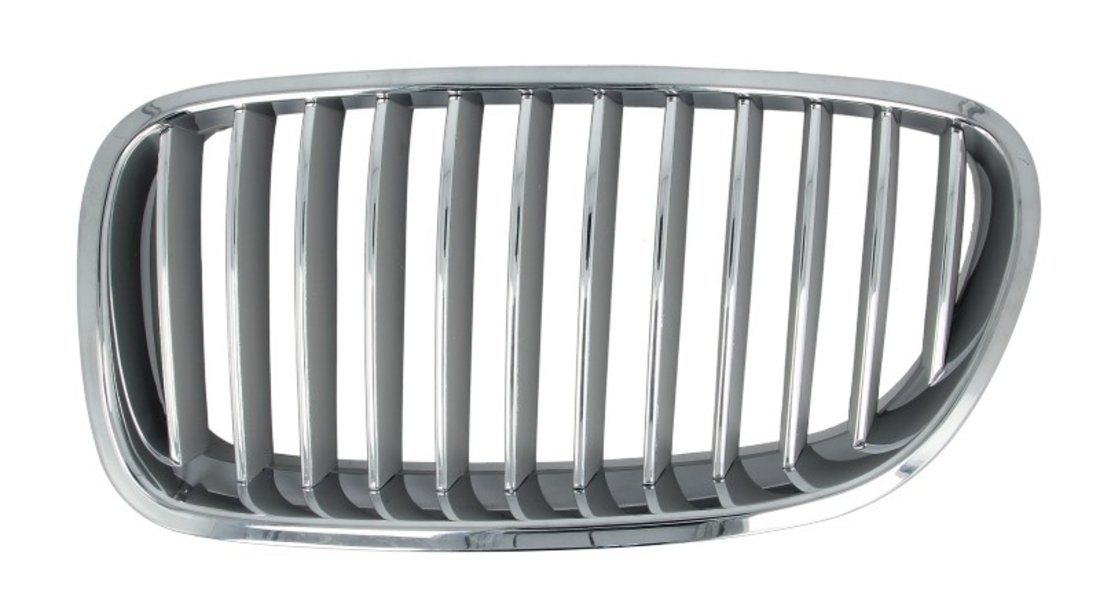 Grila radiator BMW 5 BLIC 6502-07-0067995P