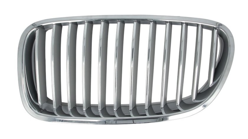 Grila radiator BMW 5 BLIC 6502-07-0067995P