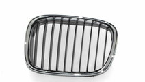 Grila radiator BMW 5 (E39) BLIC 6502-07-0065991P