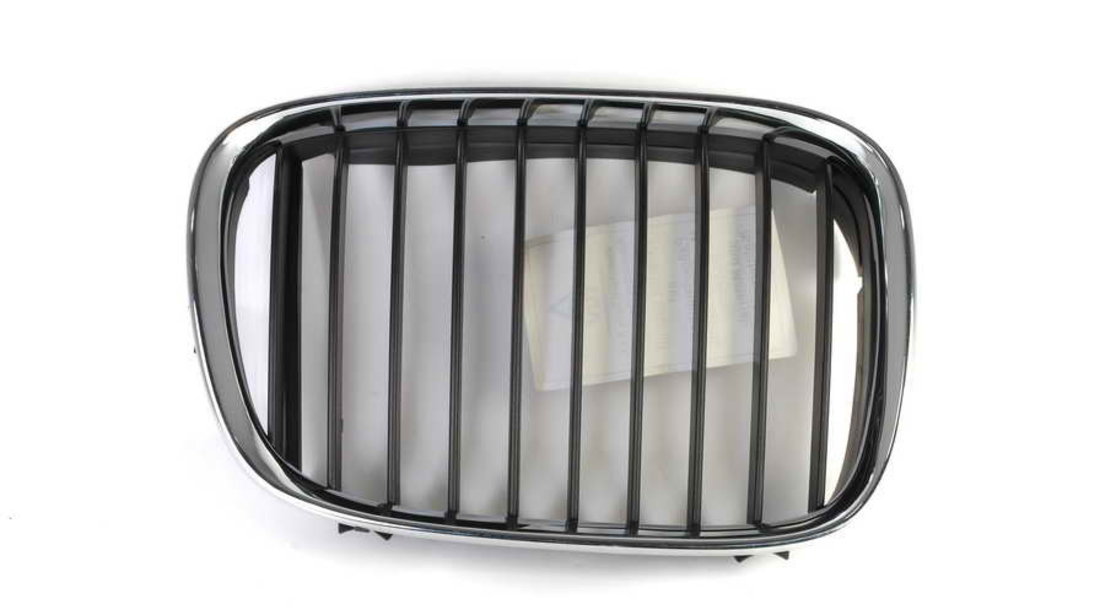 Grila radiator BMW 5 (E39) BLIC 6502-07-0065992P