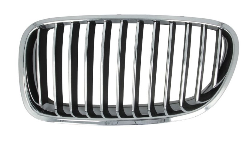 Grila radiator BMW 5 (F10) BLIC 6502-07-0067993P