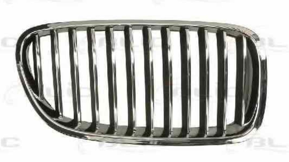 Grila radiator BMW 5 F10 F18 Producator BLIC 6502-07-0067994P