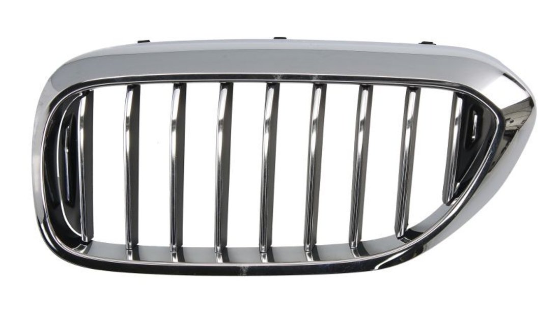 Grila radiator BMW 5 (G30, F90) BLIC 6502-07-0068993P