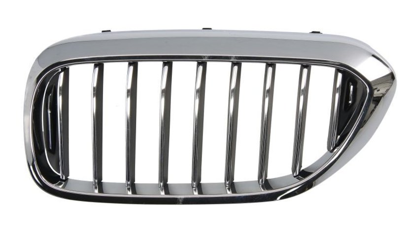 Grila radiator BMW 5 (G30, F90) BLIC 6502-07-0068993P