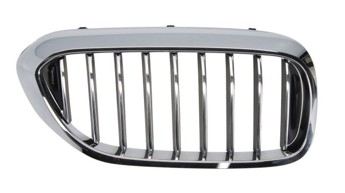 Grila radiator BMW 5 (G30, F90) BLIC 6502-07-0068996P