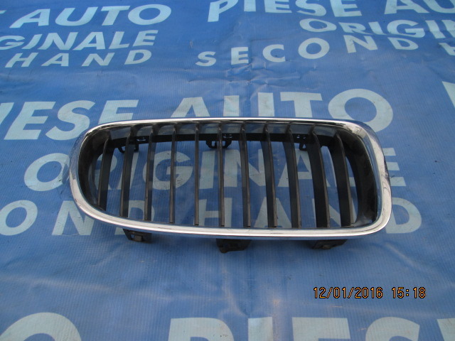 Grila radiator BMW F25 X3