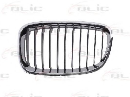 Grila radiator BMW Seria 1 (F20) (2010 - 2016) BLIC 6502-07-0086991P piesa NOUA