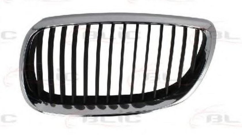 Grila radiator BMW Seria 3 Cabriolet (E93) (2006 - 2013) BLIC 6502-07-00629911P piesa NOUA