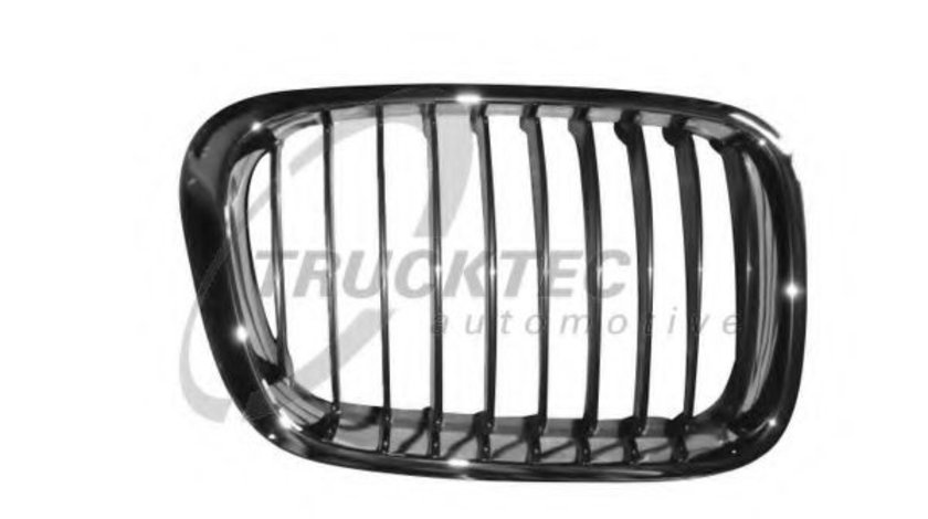 Grila radiator BMW Seria 3 (E46) (1998 - 2005) TRUCKTEC AUTOMOTIVE 08.62.258 piesa NOUA