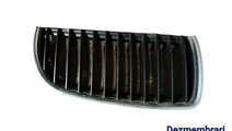 Grila radiator BMW Seria 3 E91 [2004 - 2010] Touri...