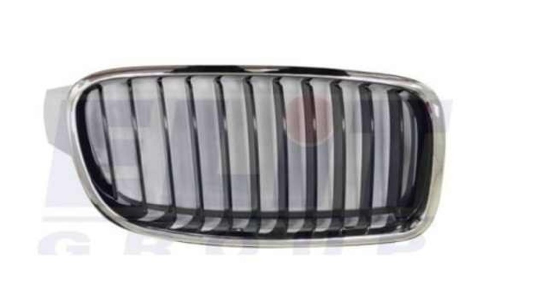 Grila radiator BMW Seria 3 F30 2011->