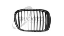 Grila radiator BMW Seria 5 (E39) (1995 - 2003) TRU...