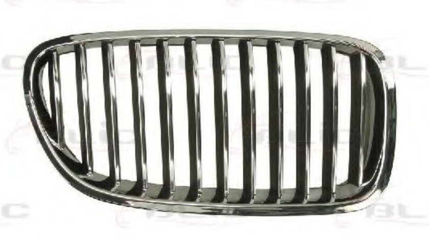 Grila radiator BMW Seria 5 (F10, F18) (2009 - 2016) BLIC 6502-07-0067994P piesa NOUA