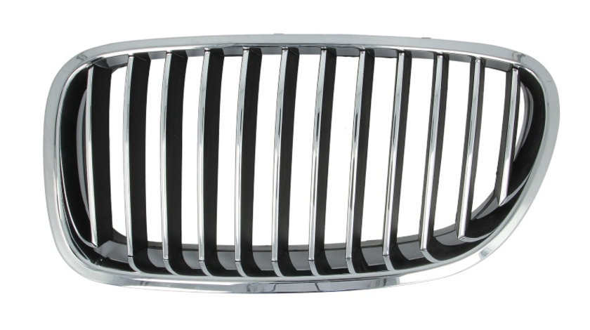 Grila radiator BMW Seria 5 (F10, F18) dupa 2009