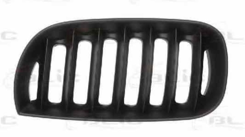 Grila radiator BMW X3 E83 BLIC 6502-07-0093995P