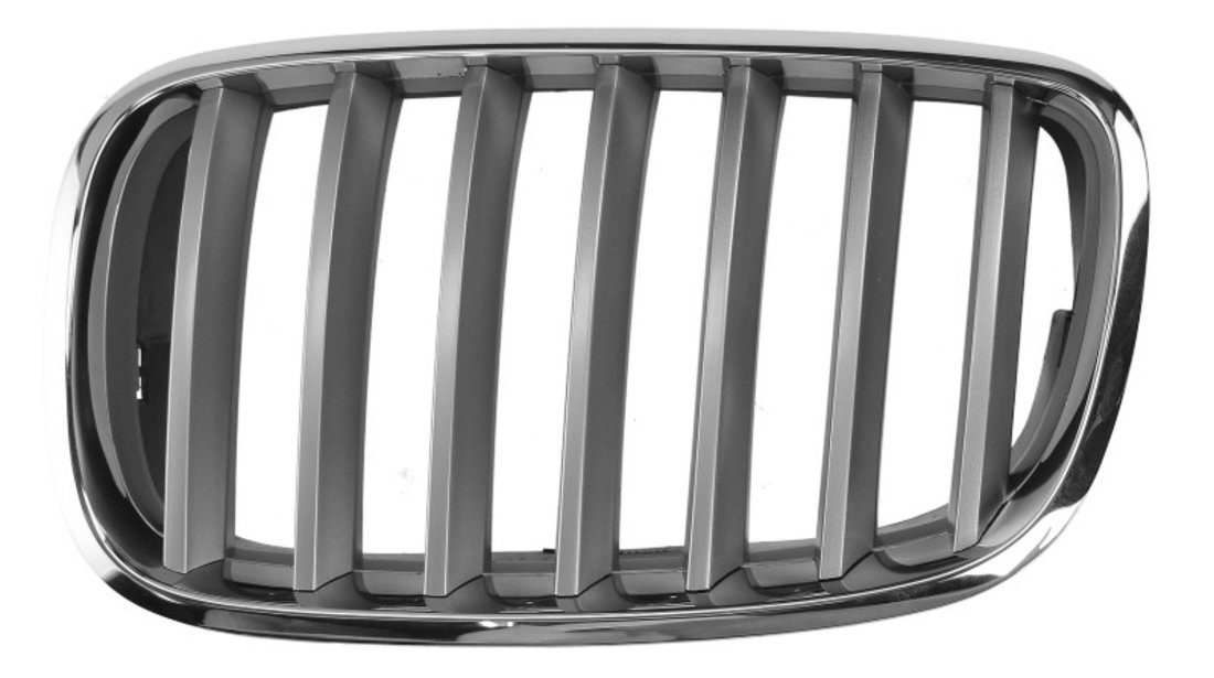 Grila radiator BMW X5 BLIC 6502-07-0096991PP