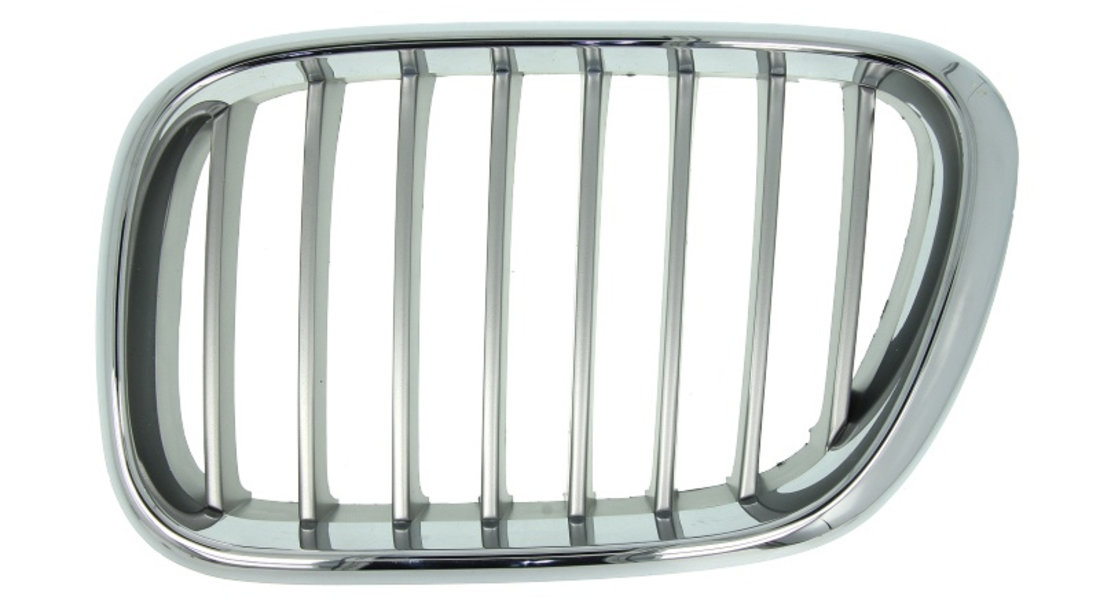 Grila radiator BMW X5 (E53) (2000 - 2006) BLIC 6502-07-0095991P piesa NOUA