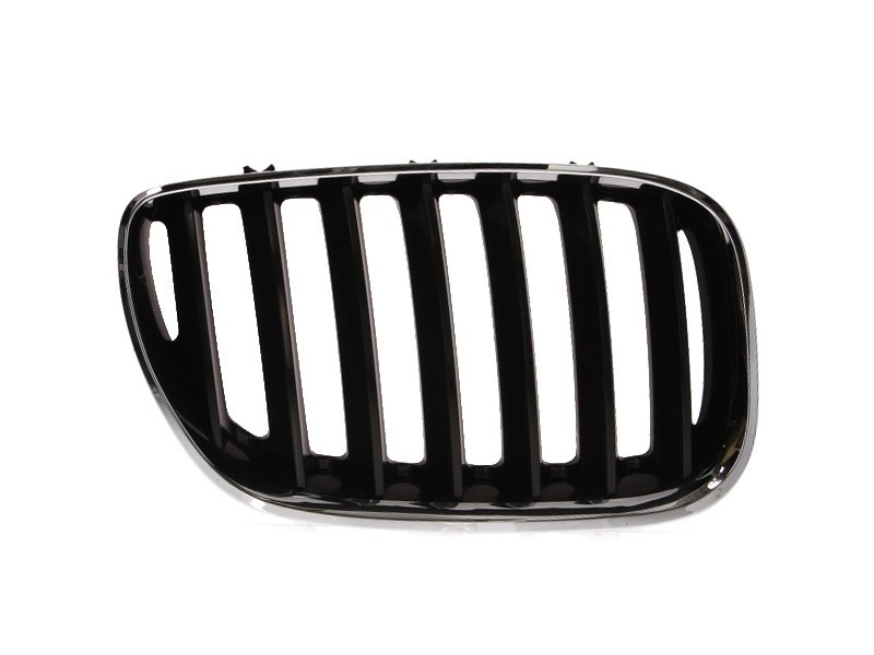 Grila radiator BMW X5 (E53) (2000 - 2006) BLIC 6502-07-0095996P piesa NOUA