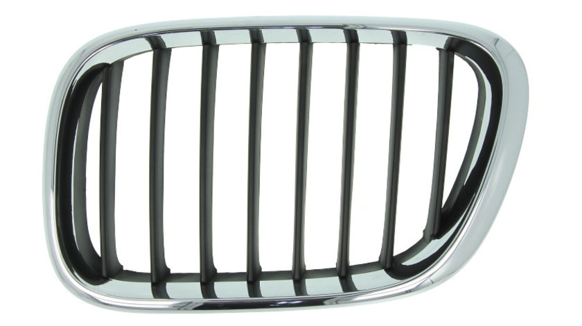 Grila radiator BMW X5 (E53) (2000 - 2006) BLIC 6502-07-0095993P piesa NOUA