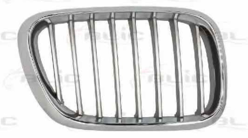 Grila radiator BMW X5 E53 BLIC 6502-07-0095992P