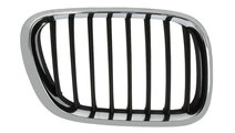 Grila radiator BMW X5 (E53) BLIC 6502-07-0095994P