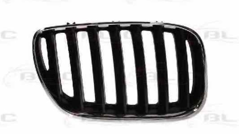 Grila radiator BMW X5 E53 BLIC 6502-07-0095996P