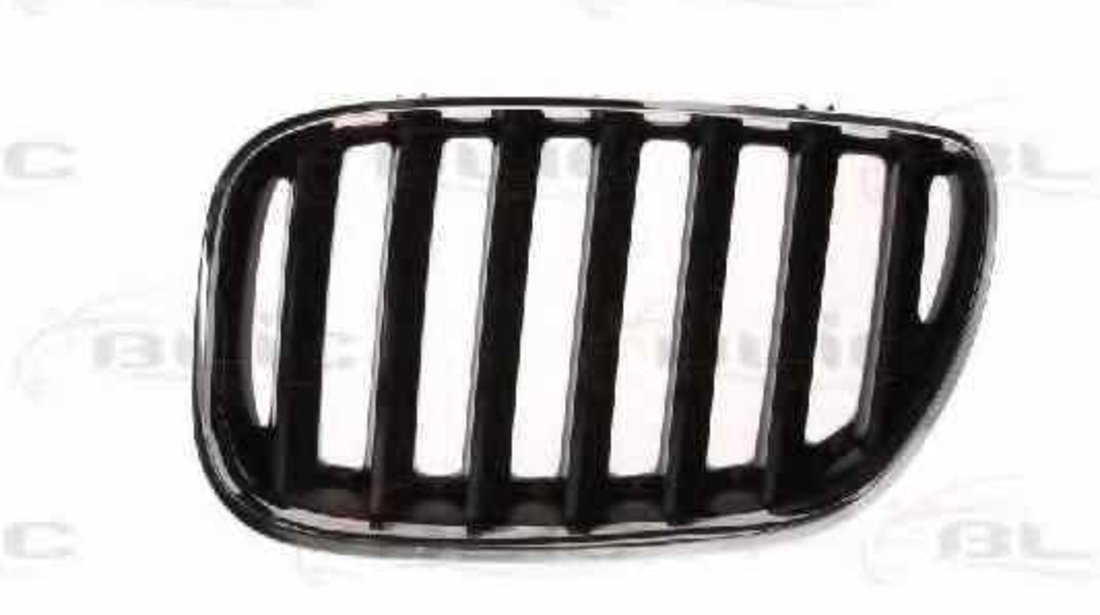 Grila radiator BMW X5 E53 Producator BLIC 6502-07-0095995P