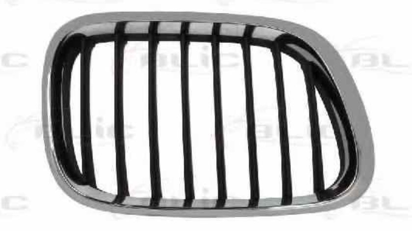 Grila radiator BMW X5 E53 Producator BLIC 6502-07-0095994P