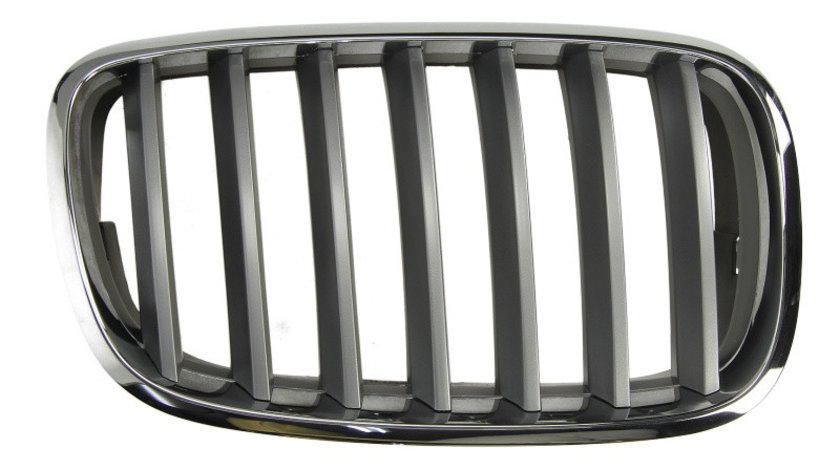 Grila radiator BMW X5 (E70) (2007 - 2013) BLIC 6502-07-0096992PP piesa NOUA